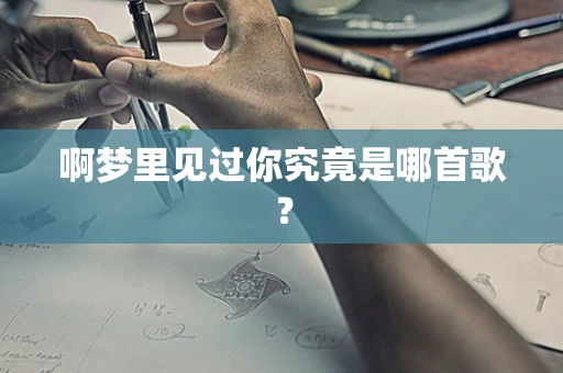啊梦里见过你究竟是哪首歌？