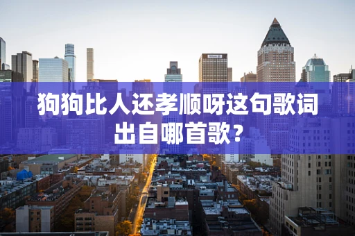 狗狗比人还孝顺呀这句歌词出自哪首歌？