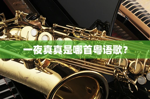 一夜真真是哪首粤语歌？