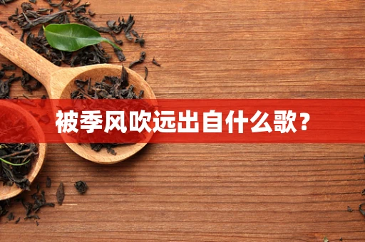 被季风吹远出自什么歌？