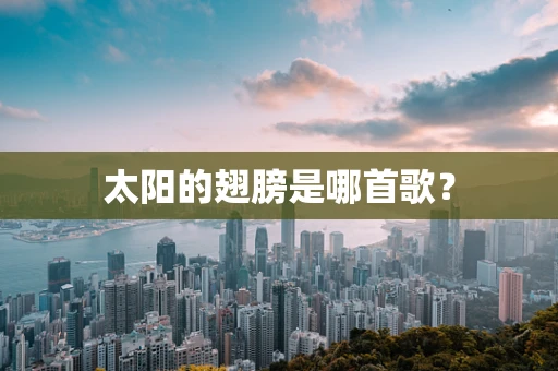 太阳的翅膀是哪首歌？