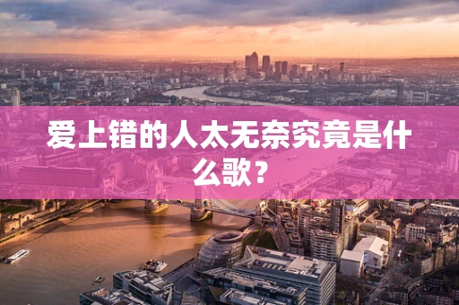 爱上错的人太无奈究竟是什么歌？