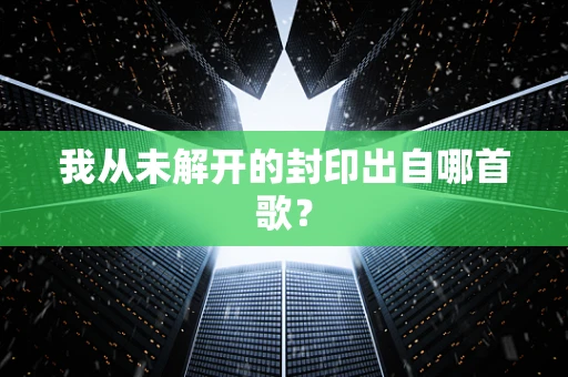 我从未解开的封印出自哪首歌？