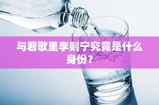 与君歌里李则宁究竟是什么身份？