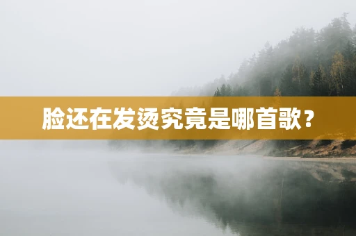 脸还在发烫究竟是哪首歌？