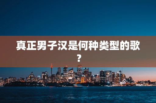 真正男子汉是何种类型的歌？
