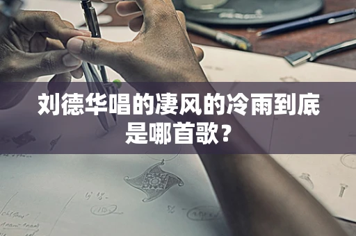 刘德华唱的凄风的冷雨到底是哪首歌？