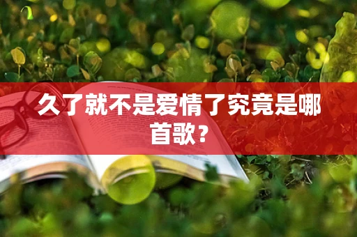 久了就不是爱情了究竟是哪首歌？