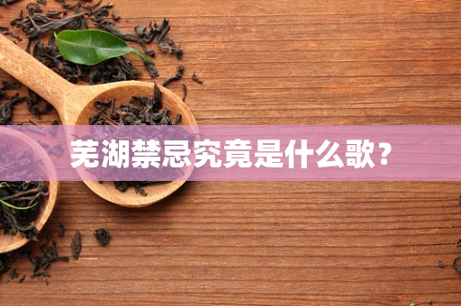 芜湖禁忌究竟是什么歌？