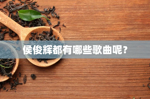 侯俊辉都有哪些歌曲呢？