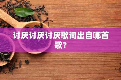 讨厌讨厌讨厌歌词出自哪首歌？