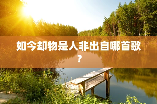 如今却物是人非出自哪首歌？