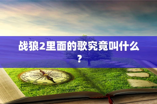 战狼2里面的歌究竟叫什么？
