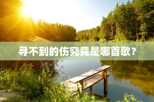寻不到的伤究竟是哪首歌？