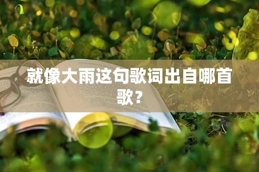 就像大雨这句歌词出自哪首歌？