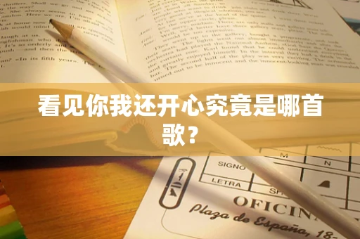 看见你我还开心究竟是哪首歌？