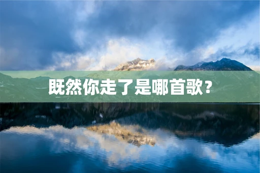 既然你走了是哪首歌？
