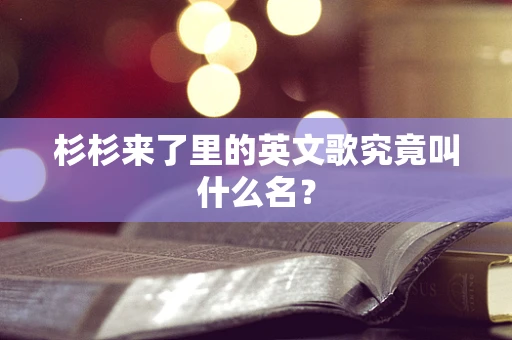 杉杉来了里的英文歌究竟叫什么名？