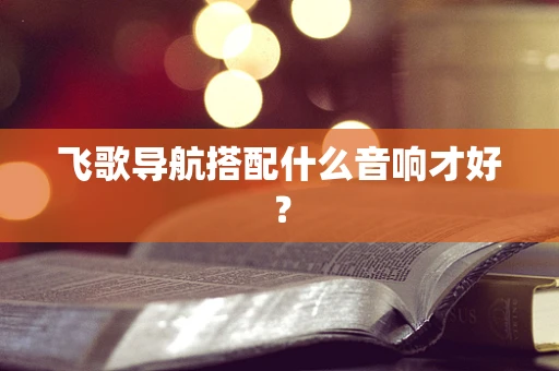 飞歌导航搭配什么音响才好？