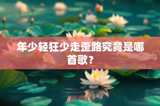 年少轻狂少走歪路究竟是哪首歌？