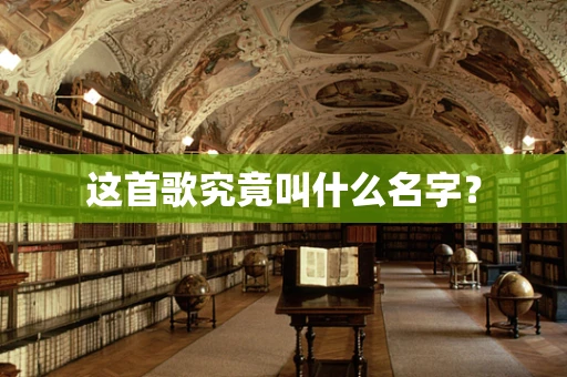 这首歌究竟叫什么名字？