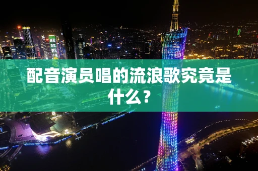 配音演员唱的流浪歌究竟是什么？