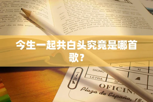 今生一起共白头究竟是哪首歌？