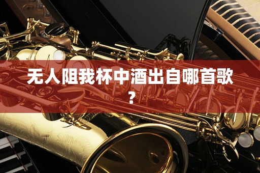 无人阻我杯中酒出自哪首歌？