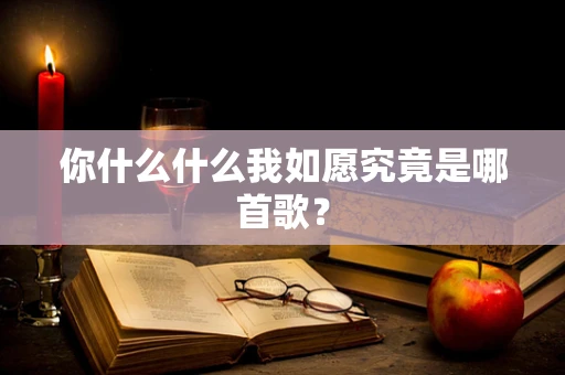 你什么什么我如愿究竟是哪首歌？
