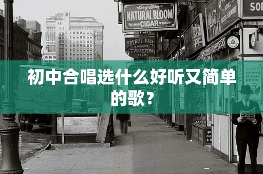 初中合唱选什么好听又简单的歌？