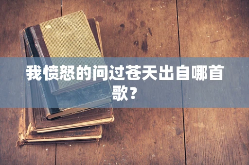 我愤怒的问过苍天出自哪首歌？