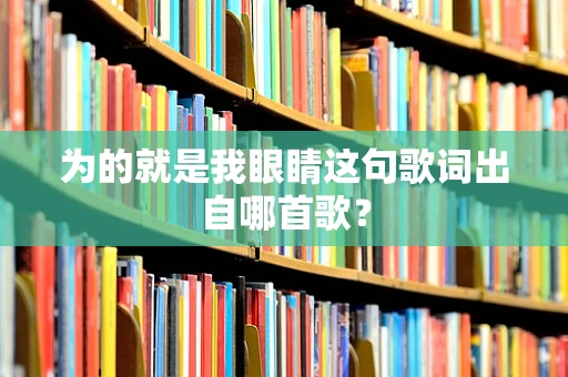 为的就是我眼睛这句歌词出自哪首歌？