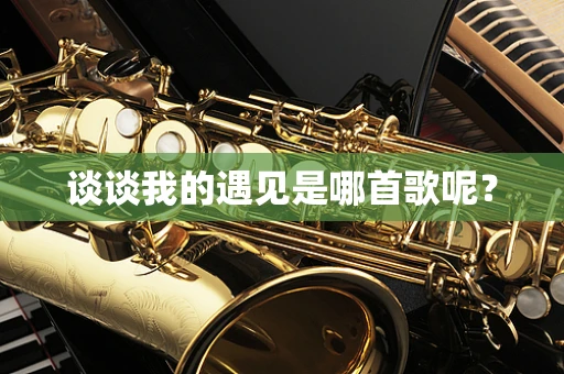 谈谈我的遇见是哪首歌呢？