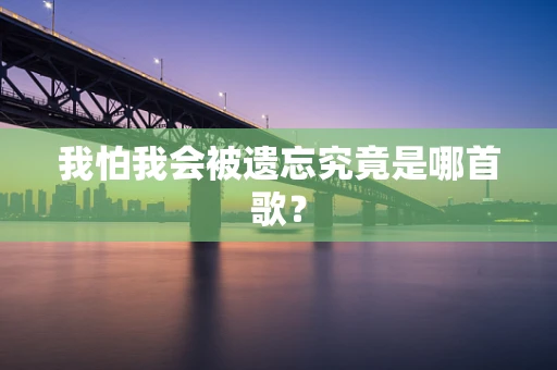 我怕我会被遗忘究竟是哪首歌？