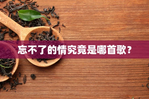 忘不了的情究竟是哪首歌？