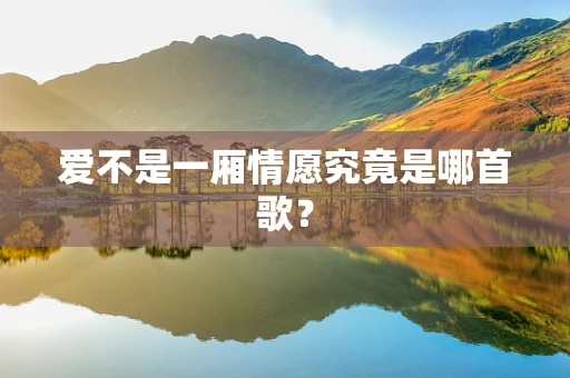 爱不是一厢情愿究竟是哪首歌？