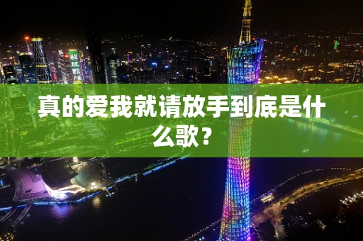 真的爱我就请放手到底是什么歌？