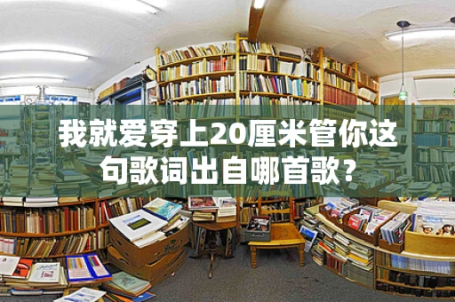 我就爱穿上20厘米管你这句歌词出自哪首歌？