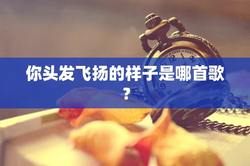 你头发飞扬的样子是哪首歌？
