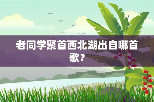 老同学聚首西北湖出自哪首歌？