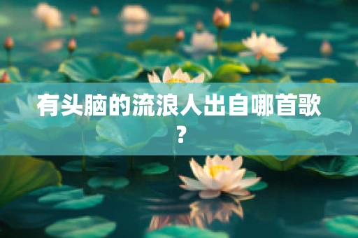 有头脑的流浪人出自哪首歌？