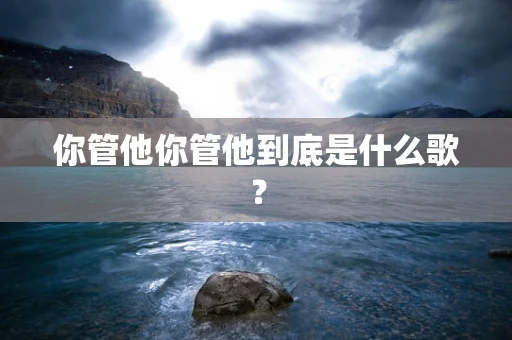你管他你管他到底是什么歌？