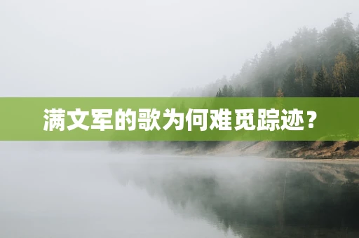 满文军的歌为何难觅踪迹？