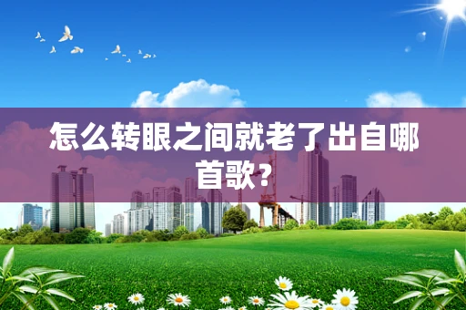 怎么转眼之间就老了出自哪首歌？