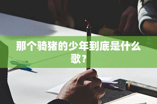 那个骑猪的少年到底是什么歌？