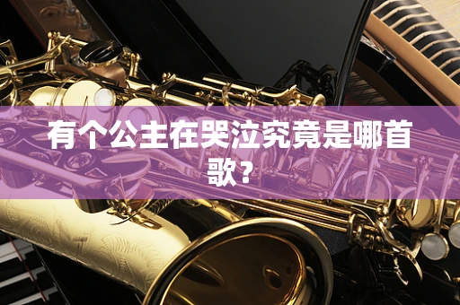 有个公主在哭泣究竟是哪首歌？