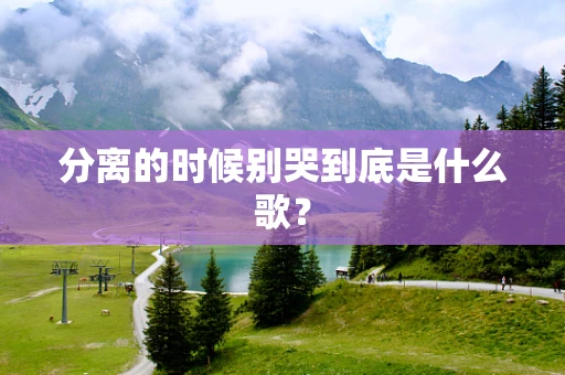 分离的时候别哭到底是什么歌？