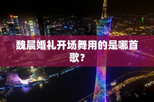 魏晨婚礼开场舞用的是哪首歌？