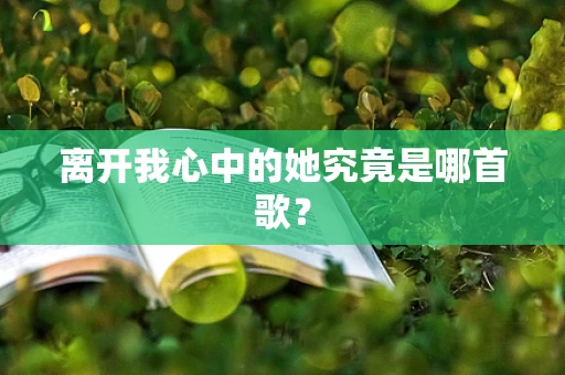 离开我心中的她究竟是哪首歌？