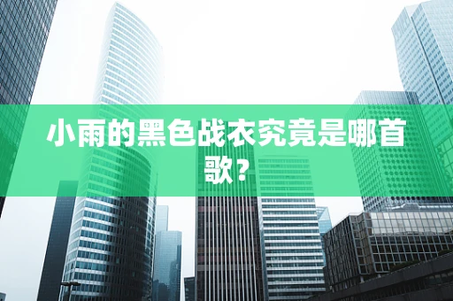 小雨的黑色战衣究竟是哪首歌？